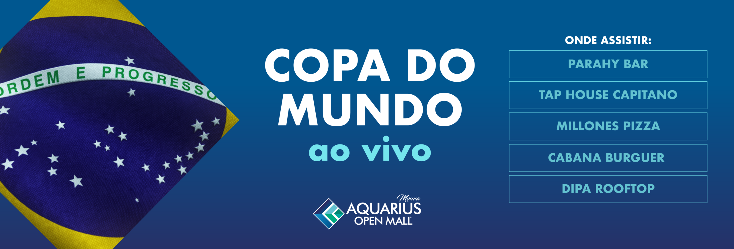 Banner Copa do Mundo
